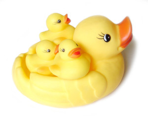 duck-family FI P1stL